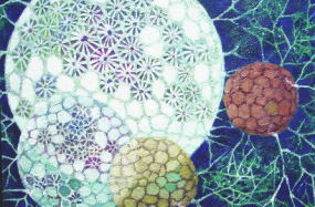 �|�������̖��ʉ�@���ۉ�