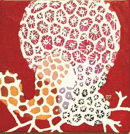 �|�������̖��ʉ�@���ۉ�